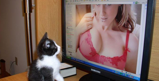 В Корее изобрели новую технологию распознавания порно