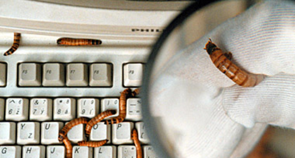 Королевский банк Канады подвергся атаке