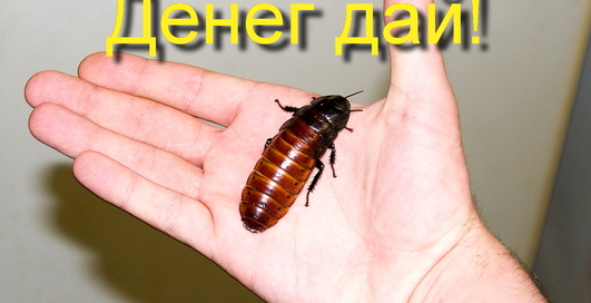 В третьем квартале 2011 года трояны установили рекорд