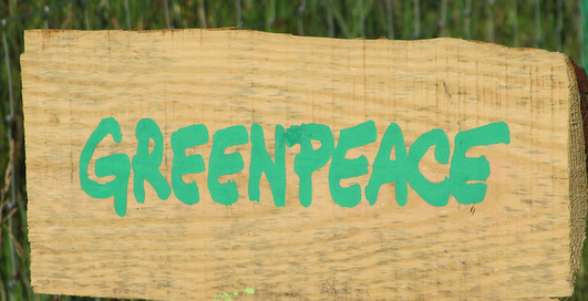 "Гринпис" назвала экологически-дружелюбными компаниями HP и Dell