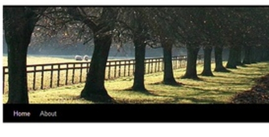 Вышла новая версия платформы для блогеров Wordpress 3.0