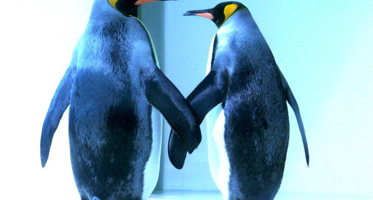 Правообладатели хотят запретить свободное ПО