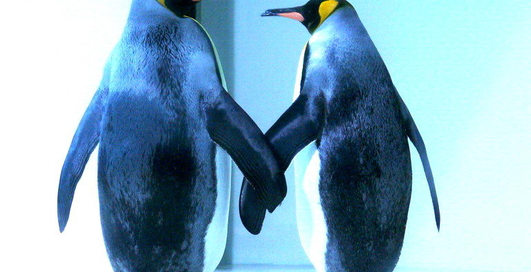 Правообладатели хотят запретить свободное ПО