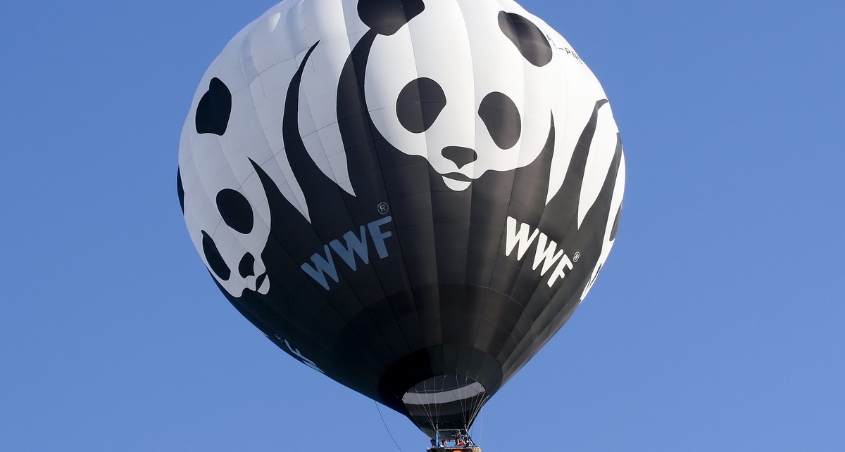 WWF -документ нельзя распечатать