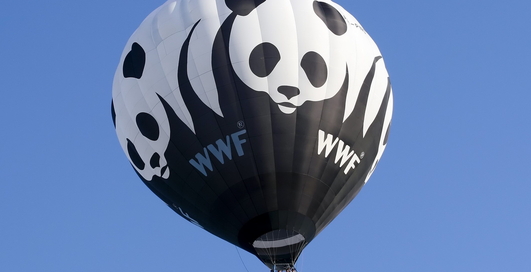 WWF -документ нельзя распечатать