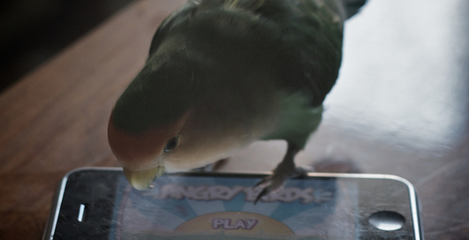 Злоумышленники подделывают вирусы под Angry Birds