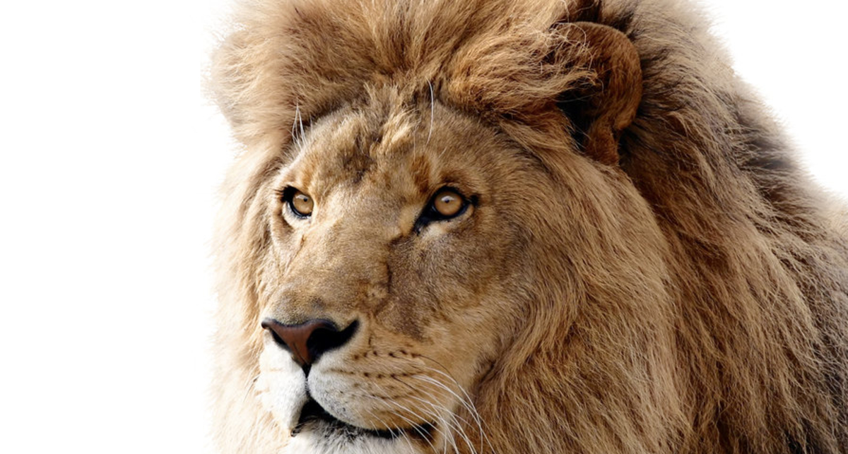 Apple подготовил пользователей для встречи со 