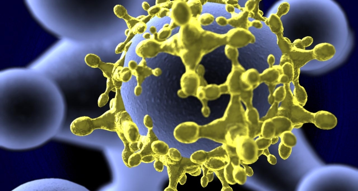 Количество вирусов для Android выросло в 10 раз