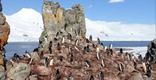 Google Maps для Android может работать без интернет-подключения