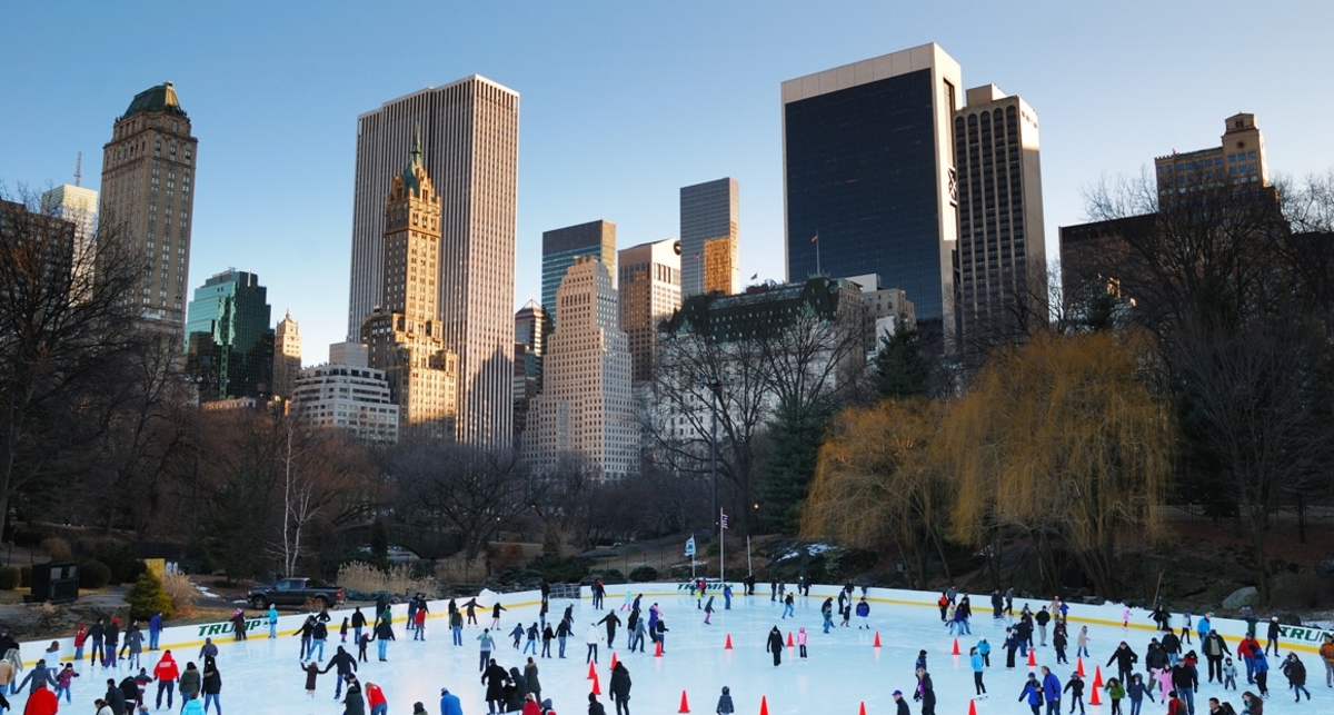 Где больше всего лесов, и почему Нью-Йорк называют «Большим яблоком»