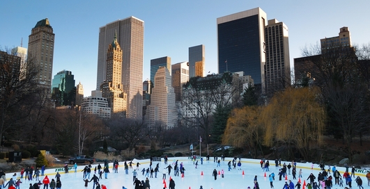 Где больше всего лесов, и почему Нью-Йорк называют «Большим яблоком»