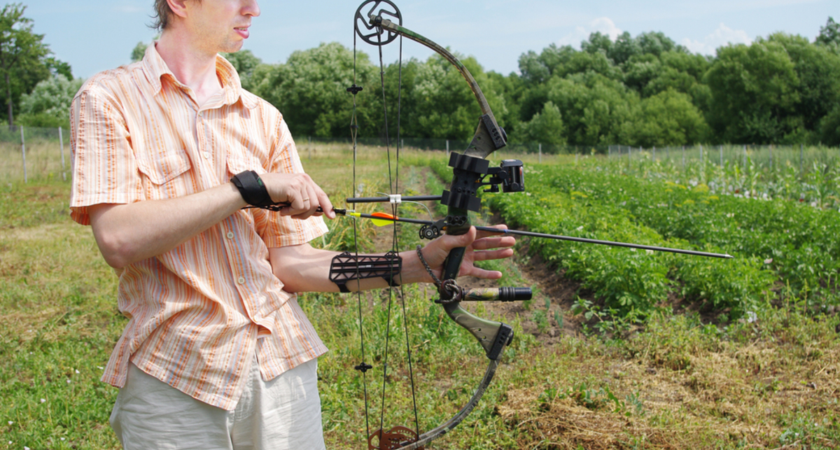 Дарвин Light – 