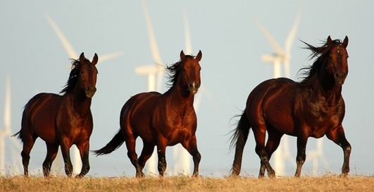 Кредитование МСБ возвращается?