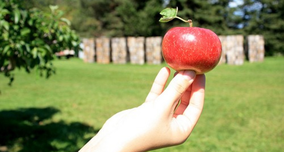 Доходность инвестфондов растет