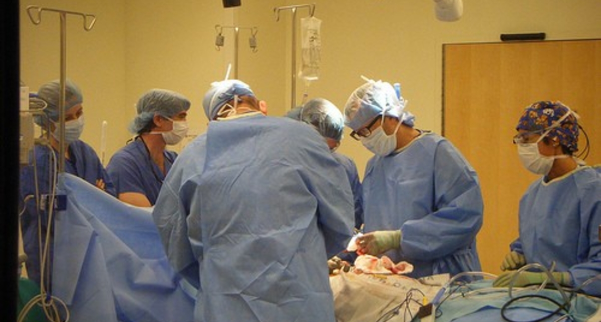 ДМС не дорожает