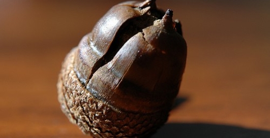 Устойчивы ли страховые компании?