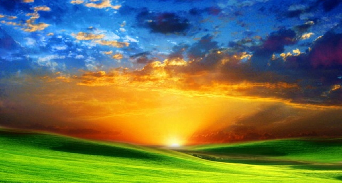 Факты в цифрах: День Земли и последствия приема ЛСД