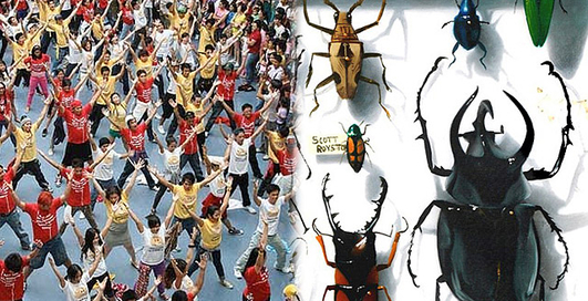 Самые странные хобби миллионеров: от жуков до флеш-мобов