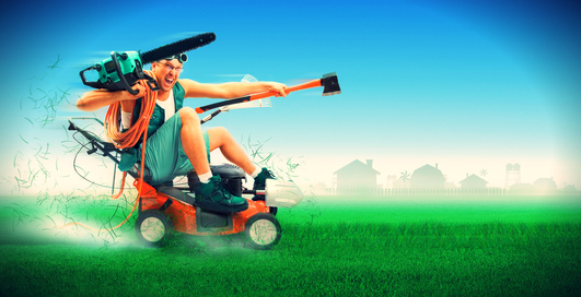 Дарвин Light: что угодно, лишь бы не работать (видео)