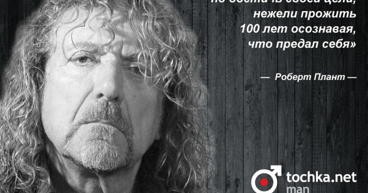Логан ромеро плант