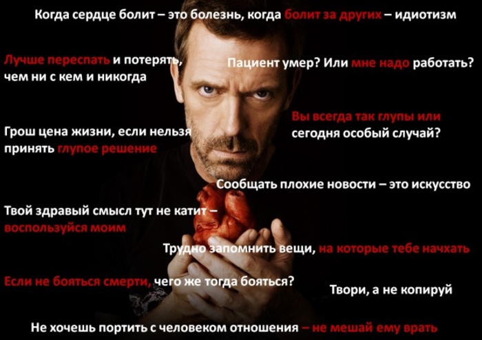 Конкурс цитат с WD закончился: есть победители