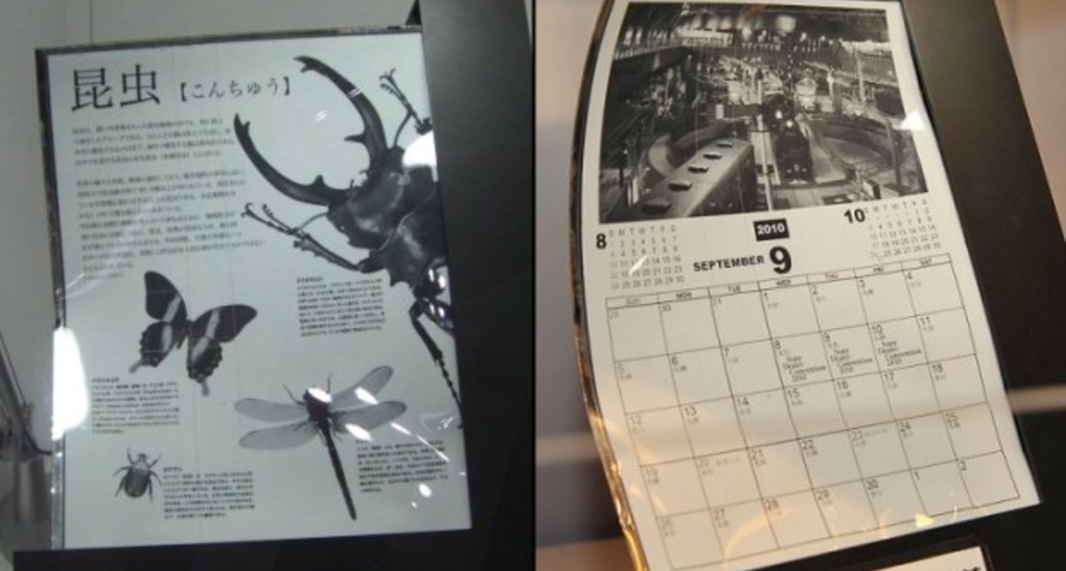 Sony показала гибкий дисплей