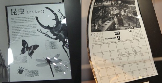 Sony показала гибкий дисплей