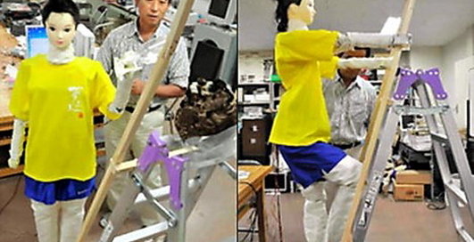 Робот "Могикан" сражается с осами