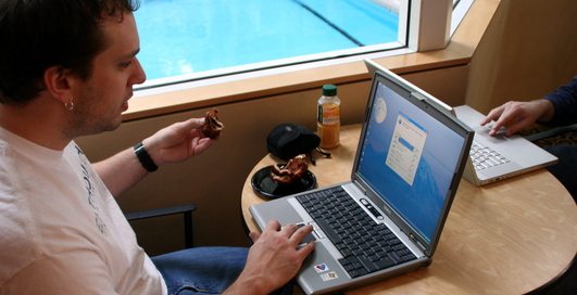 Wi-Fi опасен для деревьев