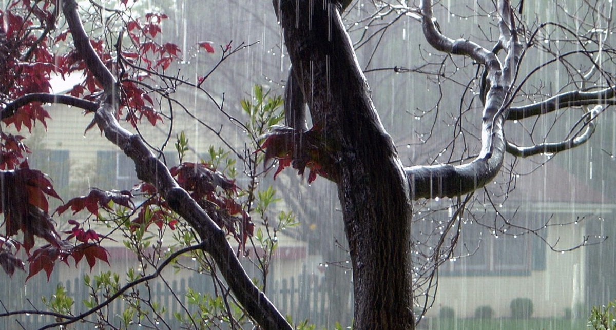 Метеостанция дома