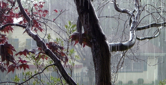 Метеостанция дома