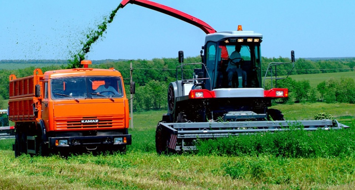 Компания АИС расщедрилась
