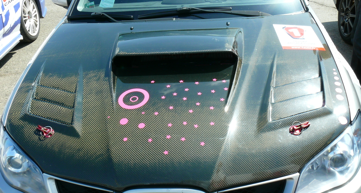 Любители Subaru собрались на весеннюю маевку (фото)