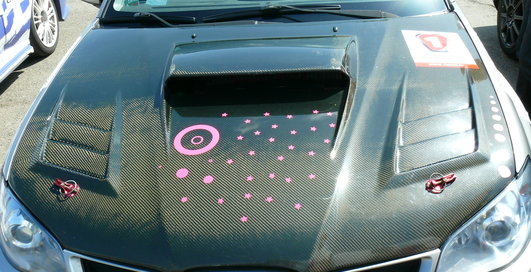 Любители Subaru собрались на весеннюю маевку (фото)