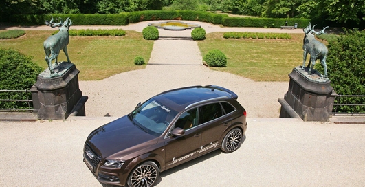 Немцы представили пакет брутального тюнинга Audi Q5 (фото)