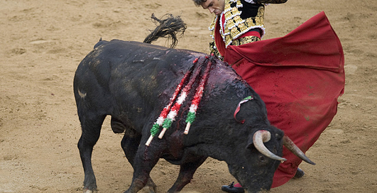 Прекрасная и ужасная коррида