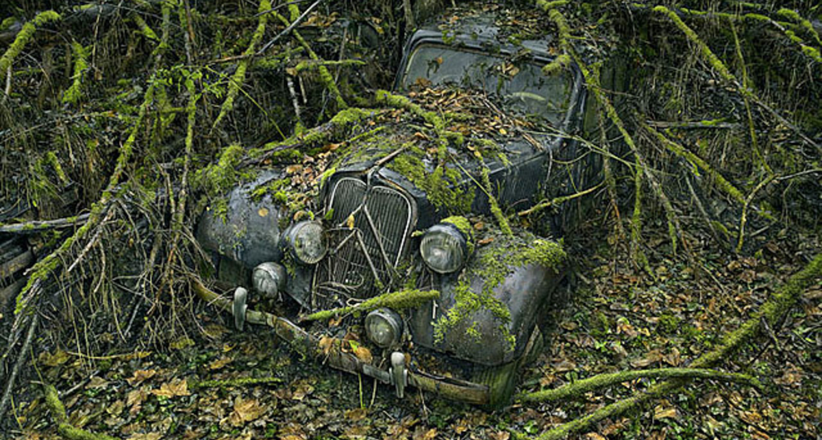 Как время превращает машины в часть ландшафта