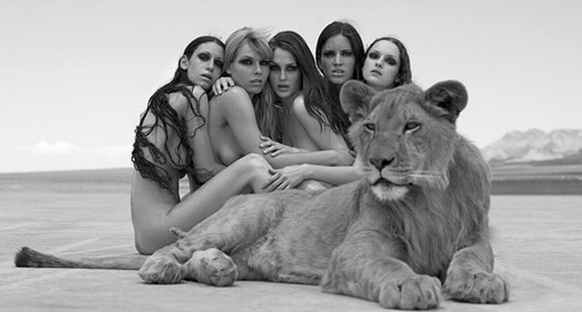 Обнаженные укротительницы диких кошек