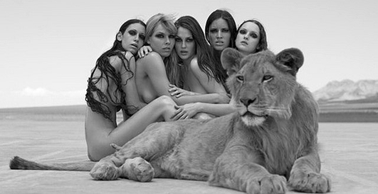 Обнаженные укротительницы диких кошек