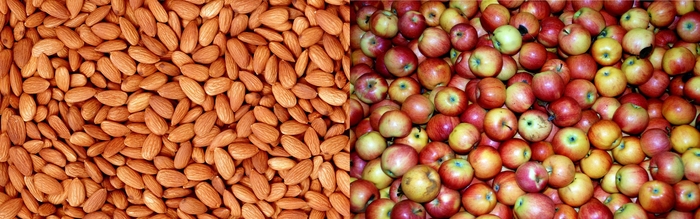 Еда для митингующих: чем закусить военные действия