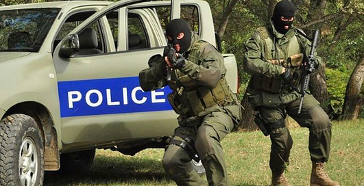 Смотри, как тренируется грузинский спецназ