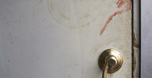 Кровавая бойня ради еды