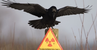 Авария на ЧАЭС: шесть фактов о радиации