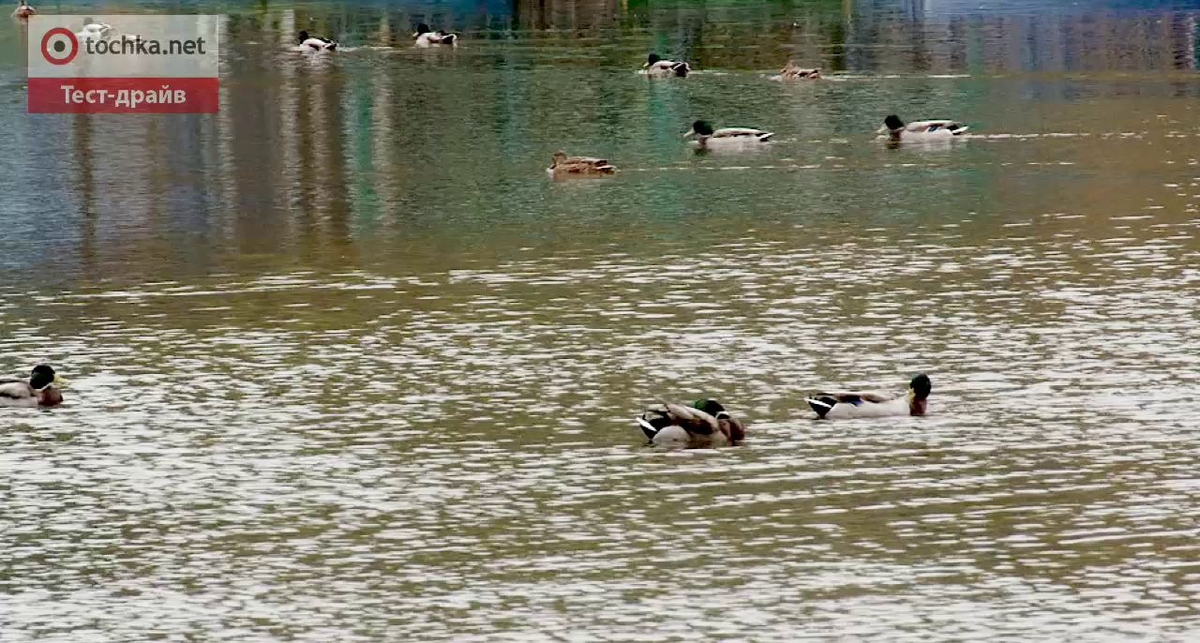 Тест-драйв Peugeot Partner Tepee: ну очень практичный