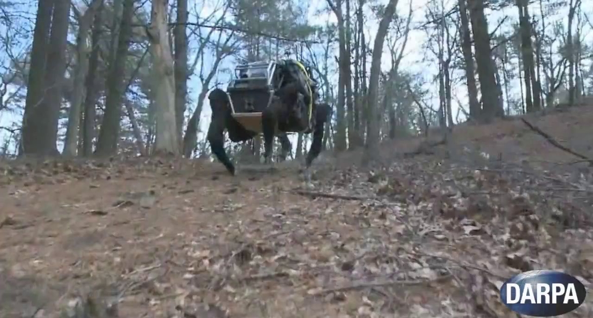 Американцы создали первого робота-мула