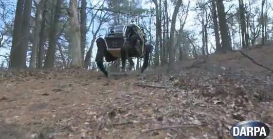 Американцы создали первого робота-мула