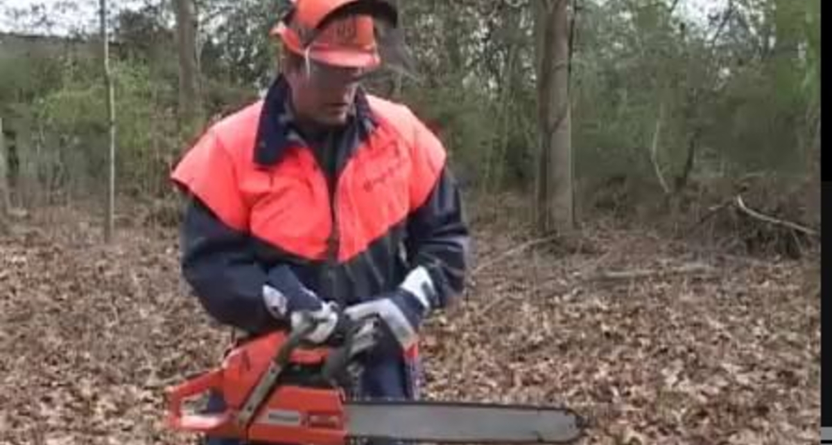 Как спилить дерево (видео)