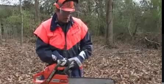 Как спилить дерево (видео)