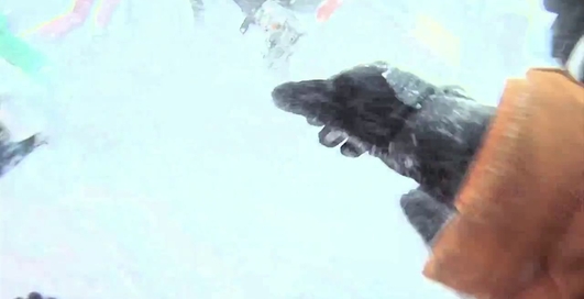 Red Bull добрался до Украины (видео)