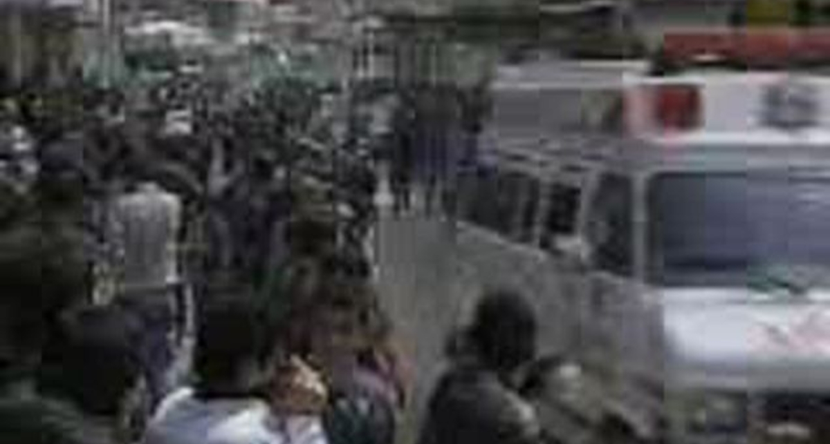 Толпень волнуется